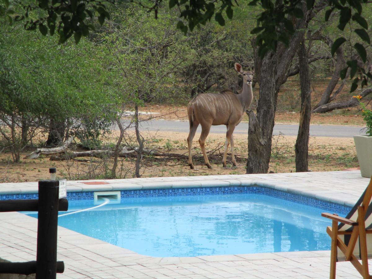 Woodpecker Lodge B&B Hoedspruit Exteriér fotografie